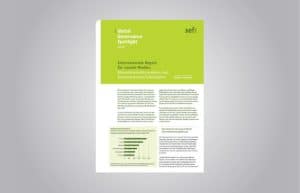 Vorschu der Publikation "Internationale Regeln für Soziale Medien: Menschenrechte wahren und Desinformation bekämpfen. Global Governance" Spotlight 2|2019