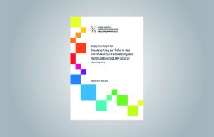 Cover of the Brief Expert Opinion