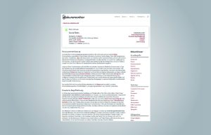 Screenshot der Website diskursmonitor, Eintrag "Social Bots" von Gregor Wiedemann