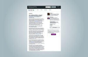 Screenshot of an article on the Verfassungsblog. Title of the article: “<span lang=