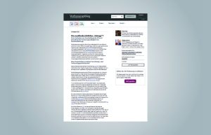 Screenshot des Beitrags vom 20.10.2025 von Tobias Mast und Wolfgang Schulz auf dem Verfassungsblog